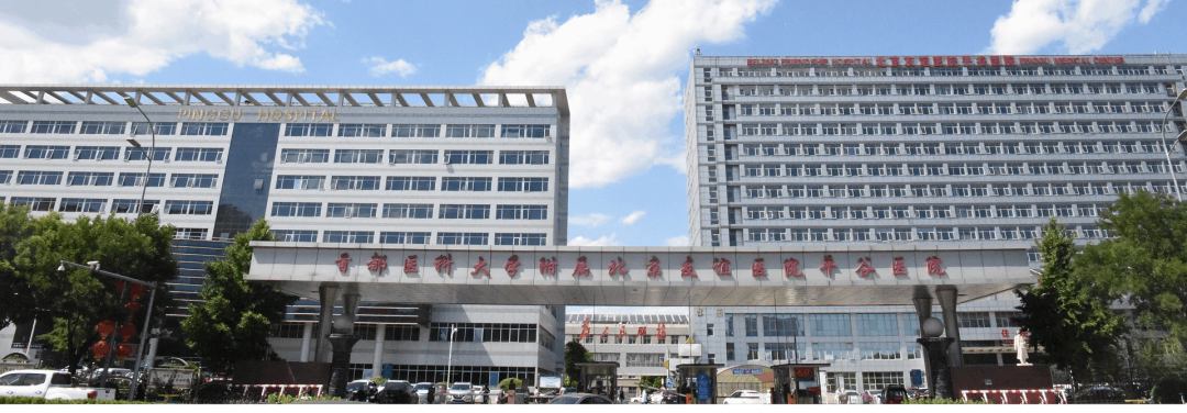 17677540515324734233.png 17677540515324734233.png